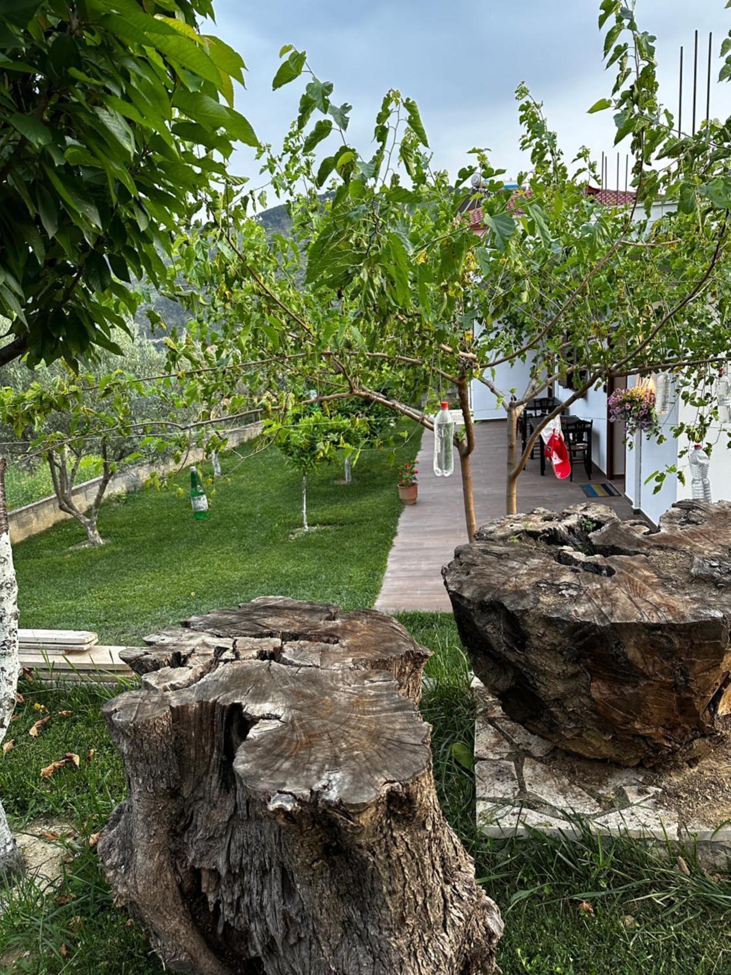 Guest House Gorani Berat Kültér fotó